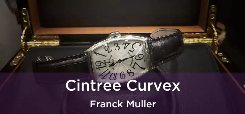  Cintree Curvex Franck Muller