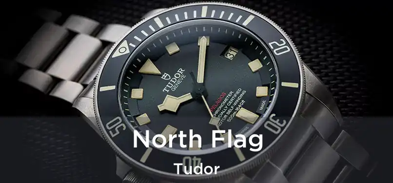  North Flag Tudor